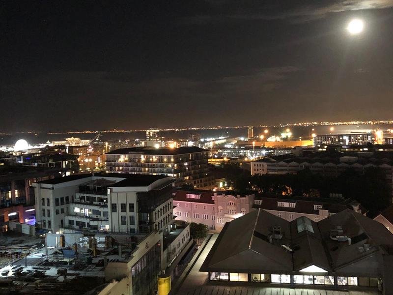 1 Bedroom Property for Sale in De Waterkant Western Cape